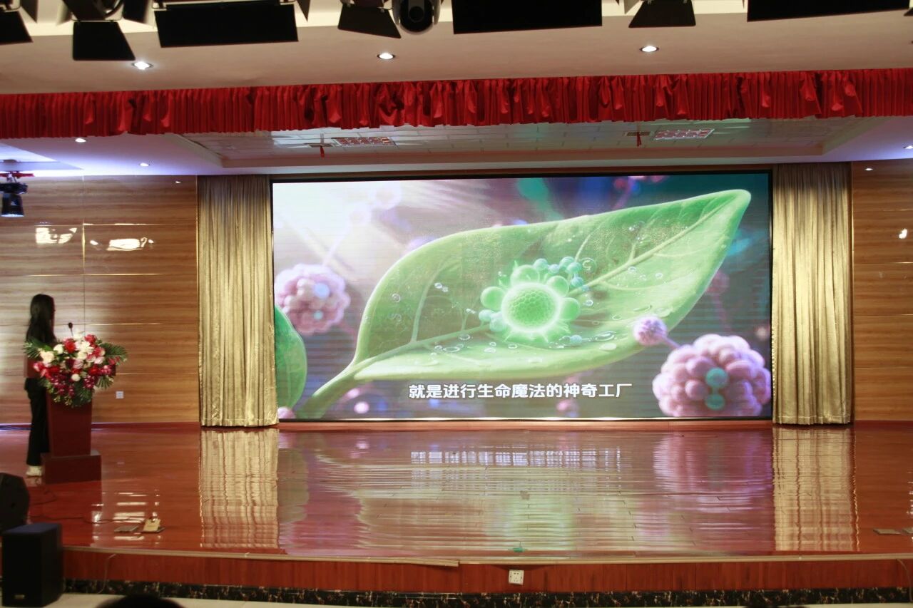 微信图片_2026-06-05_160732_570.jpg
