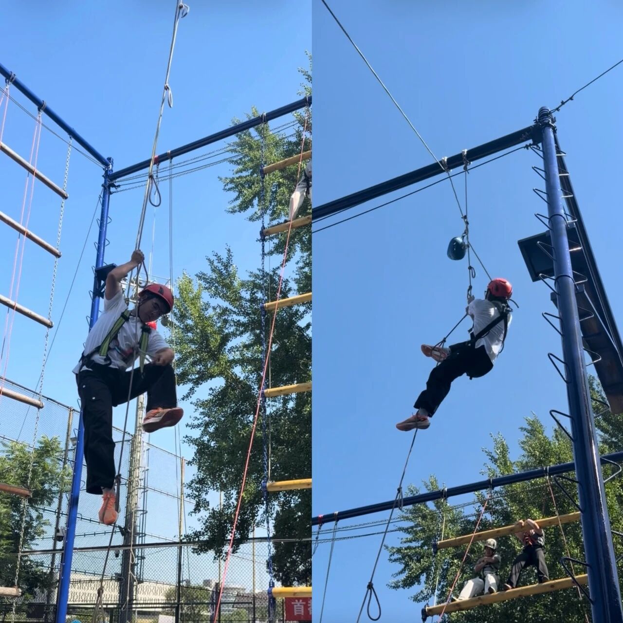 微信图片_2026-07-02_164727_372.jpg